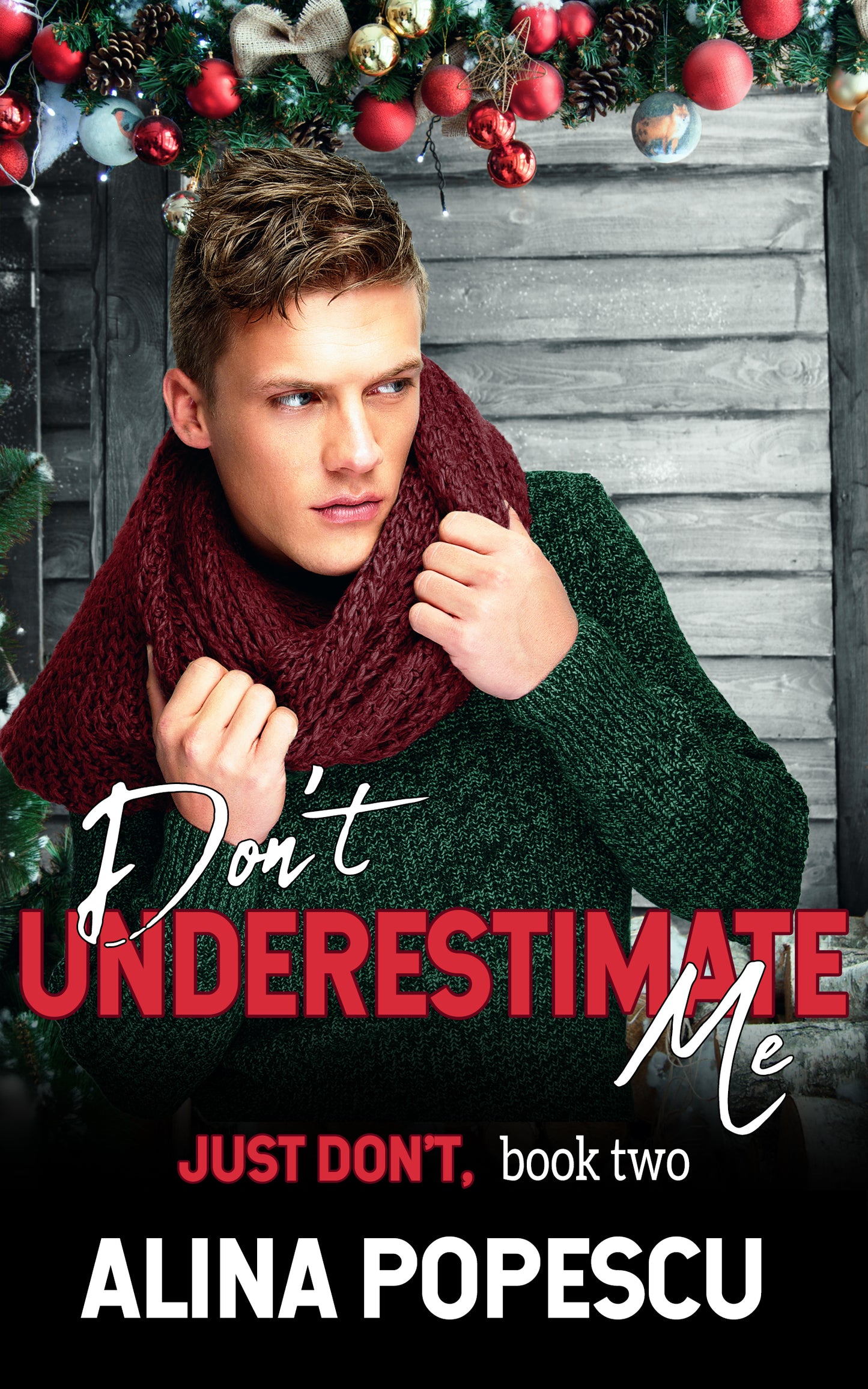 Don't Underestimate Me (Just Don't, Book 2): Gay Contemporary Romance